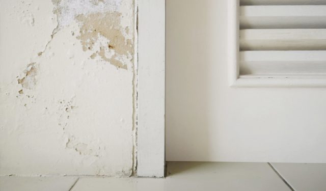 Vì sao sơn tường bị bong tróc nguyên nhân thực tế và cách xử lý triệt để
